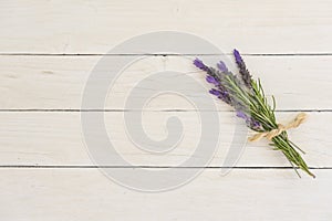 Lavender bouquet