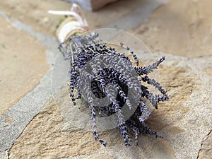 Lavender bouquet covered with texture white bowl on stone surface. Copy space.