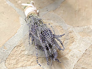 Lavender bouquet covered with texture white bowl on stone surface. Copy space.