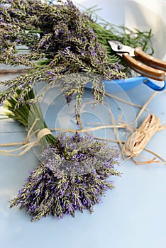 Lavender bouquet