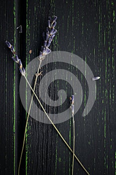 Lavender bouquet on rustic wooden desk. Provence concept.