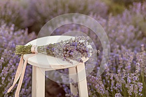 Lavender bouquet in a wooden bench in levender filed Sunset