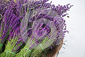 Lavender bouquets in basket and bee. Lavender vintage with fresh, beautiful purple lavender flowers blossoms.