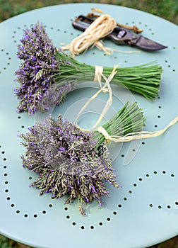 Lavender bouquets