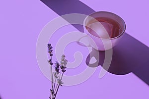 Lavender branches with a Cup of fragrant tea and sunlight on a pastel background, side view, place for the inscription