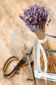 Lavender bunch bound, secateurs beside him.