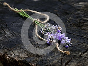 Lavender bunch