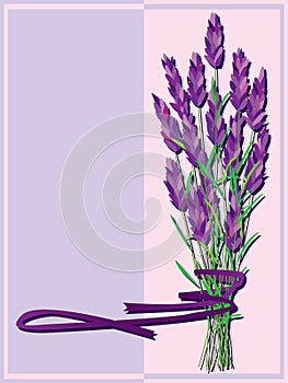 Lavender bunch