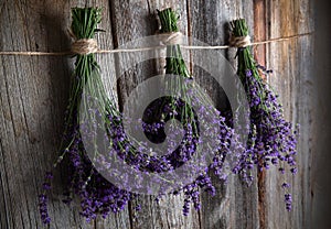 Lavender bundles hanging to dry on barn board photo