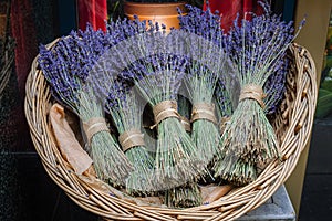 Lavender Bundles photo