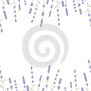 Lavender Card Border Vector. Vintage Label with lavender fragrance. Detailed botanical banner of organic cosmetic