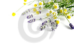 Lavender and chamomile