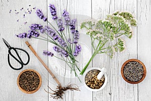 Lavender Chamomile and Valerian Herbal Medicine