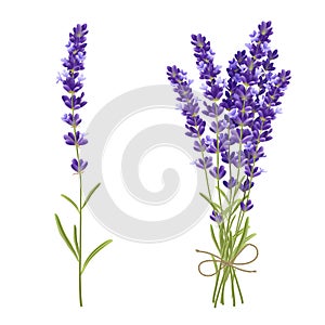 Lavender Cut Flowers Realistic Image