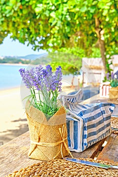 Lavender decoration table accent at the beach bar. Vacation, get away, summer outing concept