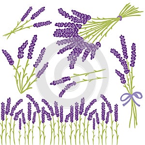 Lavender design elements