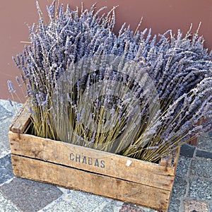 Lavender in the drawer