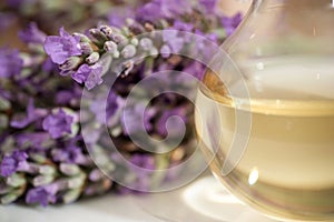 Lavender essence oil photo