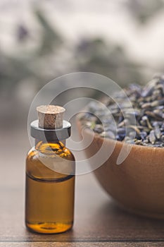 Lavender Essential Oil