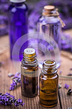 Lavender and essential oil