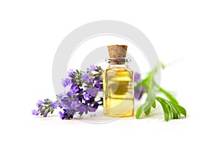 Lavender essential oil in beautiful bottle on White background