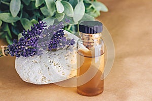 Lavender essential oil in bottle.