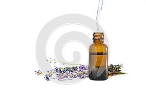 Lavender essential oil in a brown glass bottle with a lavender flowers isolated on white background