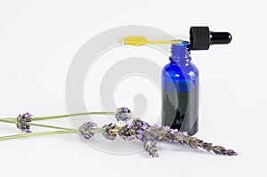 Lavender essential oil. Flowers and bottle with pipette on white background.