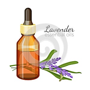 Lavender essential oil in glass bottle with pipette