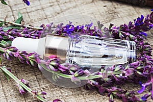 Lavender essential oil in a glass bottle on a wooden table near the branches of blooming lavender. Tincture or essential oil with