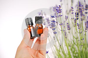 Lavender essential oil in glass bottles in a female hand and flowers on a white background.Essence with lavender scent