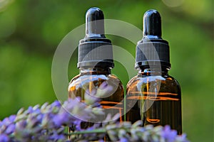 Lavender Essential Oil , lavender sprigs on blurred green background.Organic Lavender Oil Glass Bottles.natural