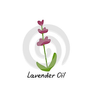 Lavender essential oil logo. Aromatherapy logo. Hand drawn Icon with hand written inscription. Aromatherapy, perfumery, cosmetics