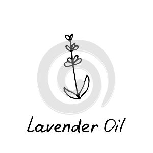 Lavender essential oil logo. Aromatherapy logo. Hand drawn Icon with hand written inscription. Aromatherapy, perfumery, cosmetics