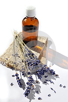 Lavender essential oil in a small bottle