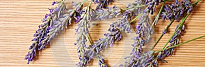 Lavender essential oil in a small bottle. Selective focus