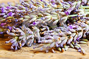 Lavender essential oil in a small bottle. Selective focus