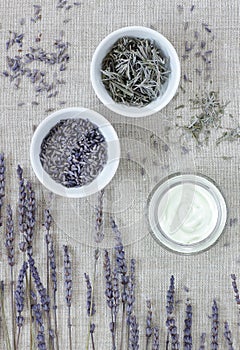 Lavender face cream with essential oil, dry herb in a bowl with flowers nearby