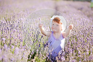 Lavender fairy