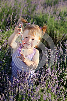 Lavender fairy