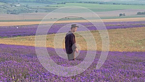 Lavender Farm Business. A farmer in a blooming purple lavender field. Rural landscape. Lavender in Provence, France