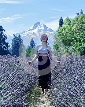 Lavender Farm, Mount Hood, Oregon, USA