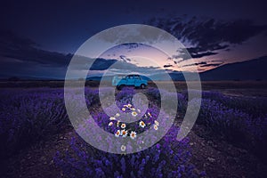 Lavender field and endless rows, SUNSET. Old bus van.