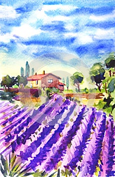 Lavender field and house, view of Provence