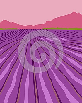Lavender field. Summer sunset landscape with mountain and trees. Fields of blooming lavender in Provence. Vector