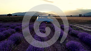 Lavender field at sunset. Old van between the rows.