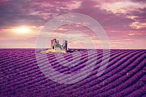 Lavender field at sunset