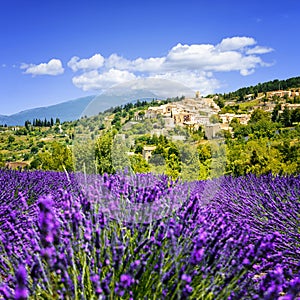 Lavender field and village, France.