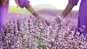 Lavender, field, walking - Two lady in violet dress, traverse purple blossoms, vast open space, daylight, nature beauty