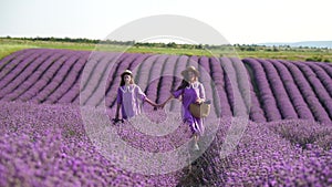 Lavender, field, walking - Two lady in violet dress, traverse purple blossoms, vast open space, daylight, nature beauty